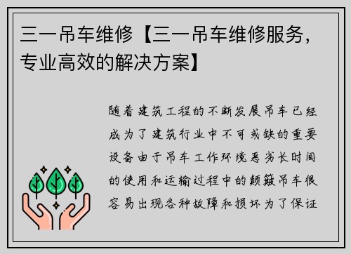 三一吊车维修【三一吊车维修服务，专业高效的解决方案】